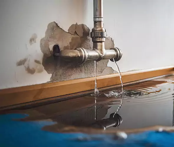 Professional Water Damage Restoration Experts in Shelbyville, IN — Fast, Reliable & Certified