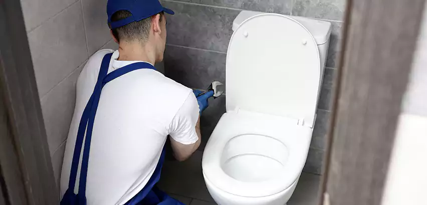 Toilet Lid Replacement in Shelbyville