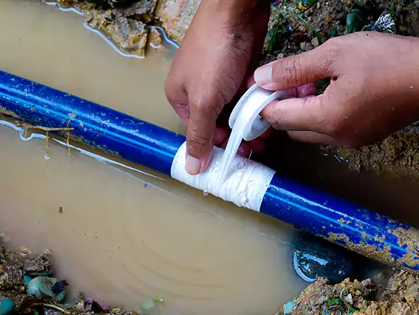  Why Choose Shelbyville Plumbers for Leak Detection in Shelbyville, IN?]
