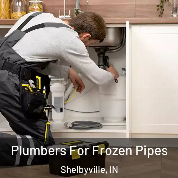  Plumbers For Frozen Pipes Shelbyville, IN