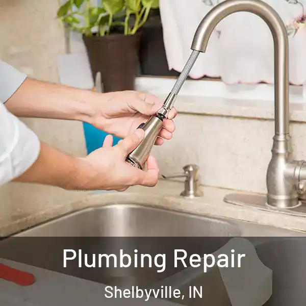 Plumbing Repair Shelbyville, IN