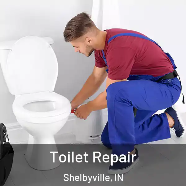  Toilet Repair Shelbyville, IN