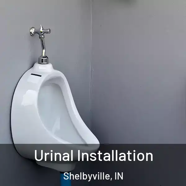 Urinal Installation Shelbyville, IN