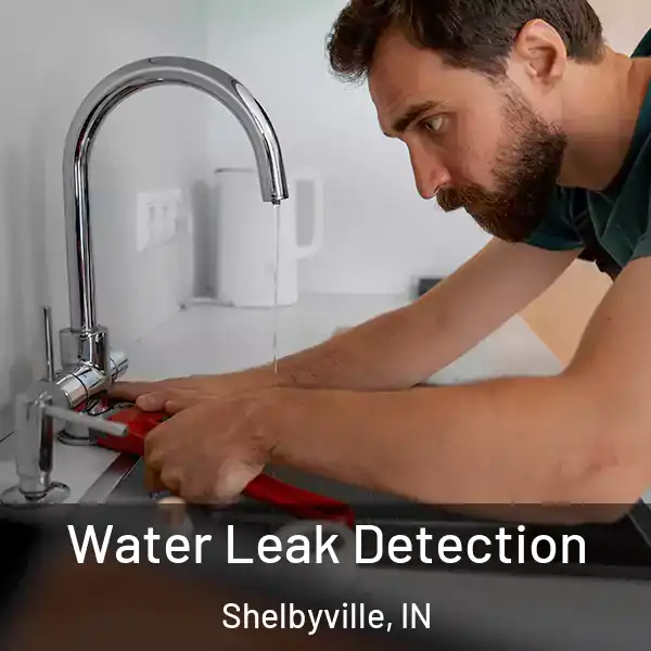  Water Leak Detection Shelbyville, IN
